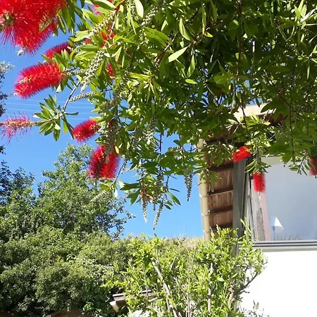 Maison Mitoyenne 68m², 2 Pieces + Veranda, Jardin 100m² Avec Pergola, Vue Holiday home